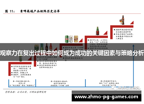 观察力在复出过程中如何成为成功的关键因素与策略分析