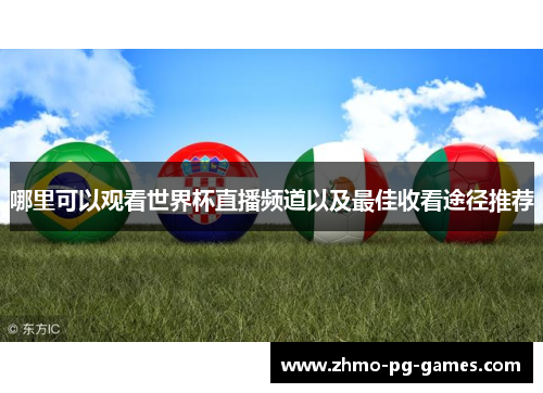 哪里可以观看世界杯直播频道以及最佳收看途径推荐