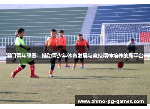 澳门青年联赛：推动青少年体育发展与竞技精神培养的新平台